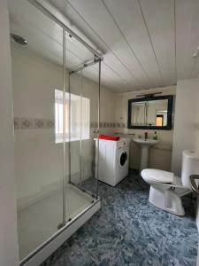 ein Badezimmer mit Dusche, Toilette und Waschbecken in der Unterkunft ApartamentosArturo CasaRural Pancarale-Llanes in Llanes