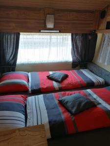 two beds in a room with a window at GLAMPING HOUSE RANČ LUŽE in Luže