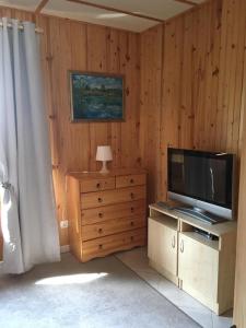 a living room with a television on a wooden wall at Domek Salted Caramel in Żarnowska