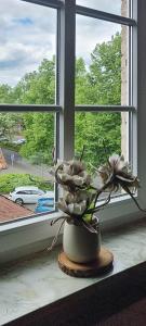 Un alféizar con un jarrón con flores. en Appartement Sahi 2, en Celle