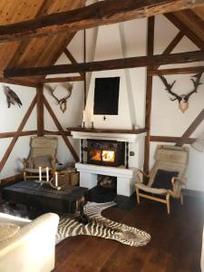 een woonkamer met een open haard met 2 stoelen en een zebra bij Cottage on unique farm in Höör