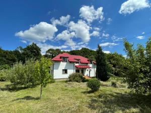 ラシュノフにあるCasa Ina Rasnovの小白屋根