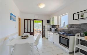 Kuchyňa alebo kuchynka v ubytovaní Pet Friendly Apartment In Zrnovo