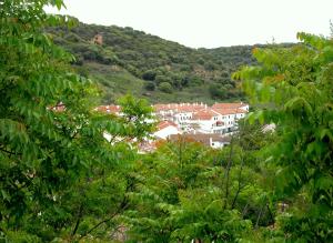 a view of a town through the trees at Casa del Medico in Olmeda de las Fuentes