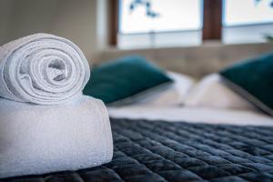 Posteľ alebo postele v izbe v ubytovaní Gąsienica Apartamenty Queen