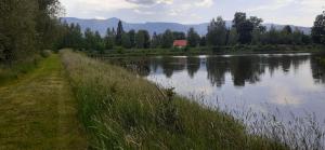 Przyroda w pobliżu tej kwatery prywatnej