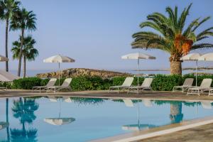 a pool with chairs and umbrellas and a palm tree at Nissi Beach Resort in Ayia Napa