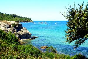 a view of a body of water with boats in it at B&B il boschetto in Ogliastro Cilento