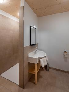 TV a/nebo společenská místnost v ubytování Pircherhof - Adults Only am Biobauernhof