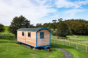 a tiny house sitting in a field next to a fence at Cow Parsley Shepherd's Hut in Berwick-Upon-Tweed