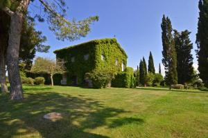 a house covered in ivy on a green field at Casale Teresa in Tarquinia