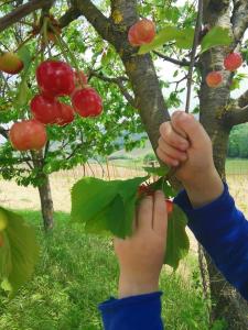 CassineにあるCascina Valtignosa Camere Con Vignaのギャラリーの写真 +58枚の写真