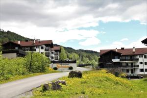 a road in front of a building with a mountain at Alpin Apartments Solsiden in Hafjell