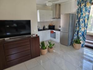 a kitchen with a large television and plants in it at Dwie Mewy in Pobierowo