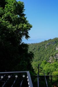 a view of a mountain with trees and blue sky at Παραδοσιακό Πηλιορείτικο αρχοντικό στη Βυζίτσα- Traditional villa in Vizitsa, Pelion in Vyzitsa