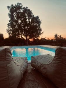 uma piscina com uma árvore e duas cadeiras de feijão em Seaside "Stone & Light Villa" close to Aegina City em Khlóï