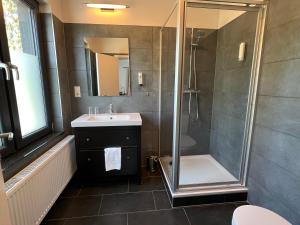 a bathroom with a shower and a sink at Hôtel Restaurant Lamy in Troisvierges
