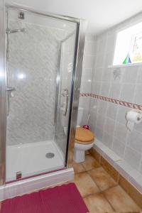 a bathroom with a shower with a toilet and a sink at Rosebud cottage Romantic cottage for a couple in Fishguard