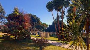 a park with palm trees and a field of grass at Hospedería Santa María do Mar in Sanxenxo