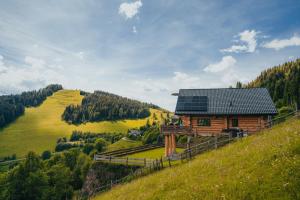 a cabin on a hill with a solar roof at Adlerkopfhütte in Zirkitz