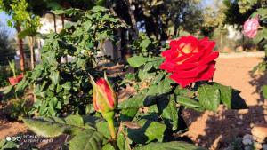 Gallery image of Panorama in Eretria