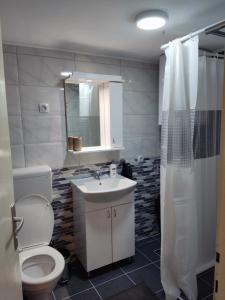 a bathroom with a toilet and a sink and a shower at Mikmari apartman in Subotica