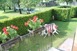 Zahrada ubytování Residence Geranio