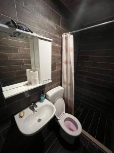 een badkamer met een wastafel, een toilet en een spiegel bij Dormire Apartmans in Žabljak