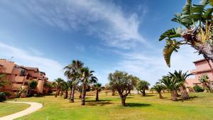 eine Reihe von Palmen in einem Park in der Unterkunft Casa Espliego P-A Murcia Holiday Rentals Property in Torre-Pacheco