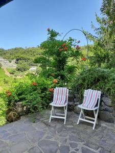 Příroda nedaleko apartmánu + 15 fotografií