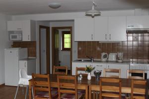 Kuchyň nebo kuchyňský kout v ubytování Apartmány Vydrýsek