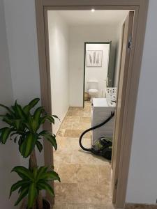 um corredor com uma casa de banho com uma planta num quarto em Maison de charme avec piscine em Monteux