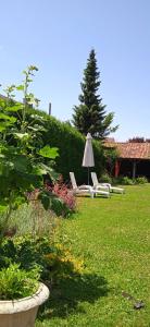 a lawn with two lounge chairs and an umbrella at Les Clés du Parc in Combrand