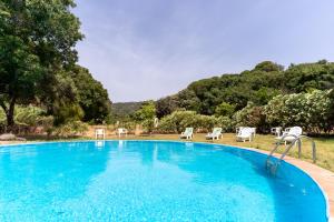 a large blue pool with chairs and trees at Finca Santa Teresa, Casa La Higuera in Casares