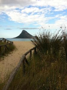 a beach with a fence and a mountain in the background at Relais Fenicottero Rosa in Porto San Paolo
