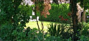 un jardin avec une chaise blanche assise dans la pelouse dans l'établissement Les Clés du Parc, à Combrand