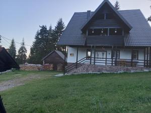 a house with a black roof on a green field at Casa de Vacanţă Vârtop in Vartop