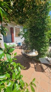 Vonkajšia záhrada v ubytovaní Giardino Dei Limoni Apartment