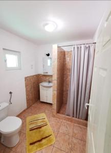 a bathroom with a shower and a toilet and a sink at Cabana Lirca in Răstoliţa