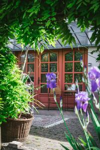 een veranda aan de voorzijde van een huis met paarse bloemen bij v i o l e t t e La souris des champs in Étival-Clairefontaine
