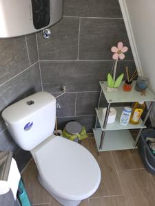 Baðherbergi á Apartman Krnjajic Diamond Hill