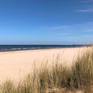 Billede fra billedgalleriet på Bungalow im Kiefernwald direkt an der Ostsee (b) i Ostseebad Karlshagen