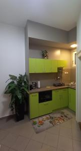una cocina con armarios de color verde lima y una maceta en Fortress 1: Quiet, Lux 50m2 , apartment in the pedestrian zone, en Belgrado