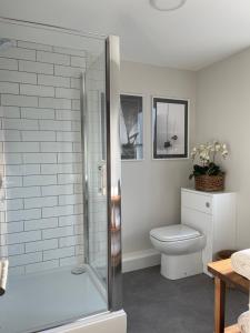 a bathroom with a shower and a toilet at Richardson Apartment in Aberaeron +8 photos