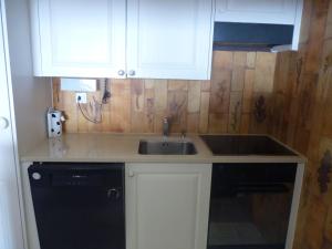 a kitchen with a sink and a dishwasher at Apartment Centaure B RS 2 by Interhome in Ovronnaz