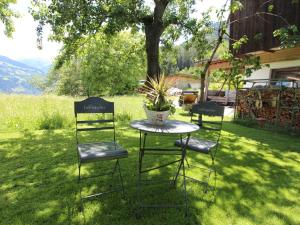 due sedie e un tavolo con una pianta in vaso in un cortile di Apartment Annelies-3 by Interhome a Mühlfeld