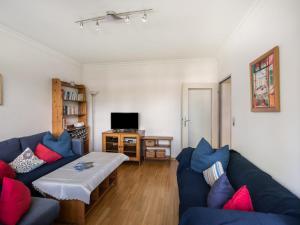 滨湖采尔斯坦萨里公寓的客厅配有蓝色沙发和红色枕头