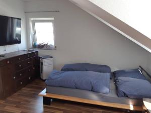ein Schlafzimmer mit einem Bett mit blauen Kissen darauf in der Unterkunft Tolle Wohnung in zentraler Lage in Neu-Ulm in Neu Ulm