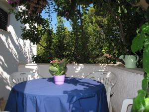 ein Tisch mit einer blauen Tischdecke und einer Pflanze darauf in der Unterkunft Apartment Lila by Interhome in Mirce