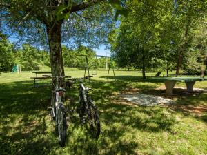 Vonkajšia záhrada v ubytovaní Holiday Home Verbanac by Interhome